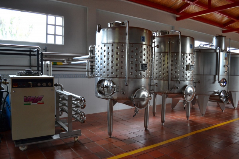 cave-ASCROS-min_wine_production_cantine_winery_drink_alcohol_vine_beverage-902036